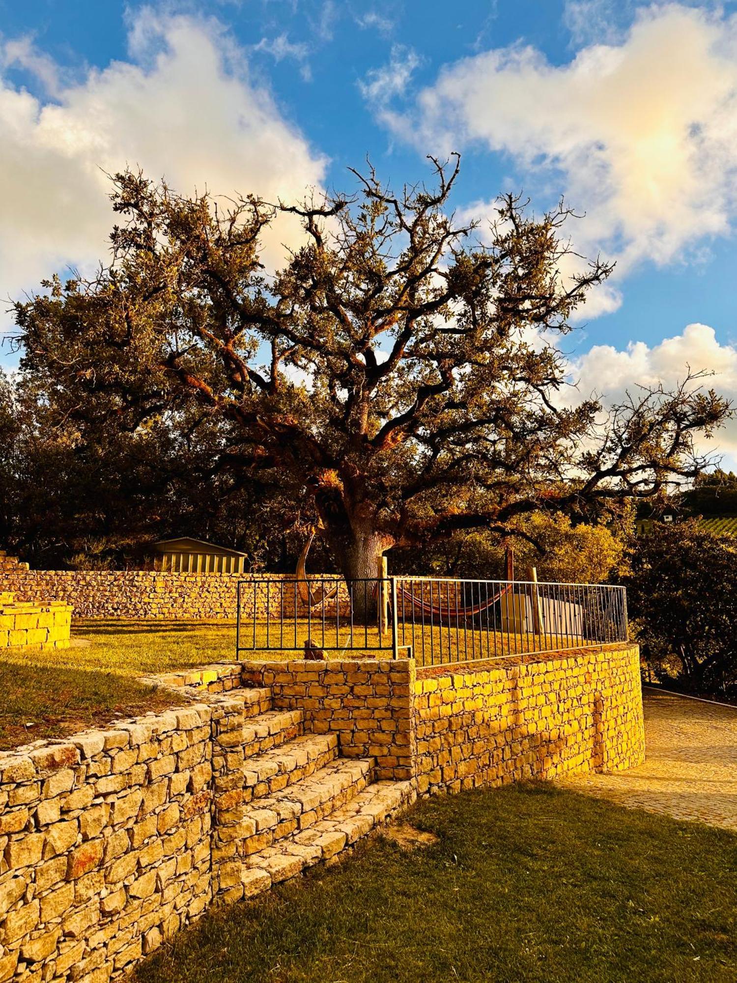 Quinta Boa Vida Βίλα Alcobaça Εξωτερικό φωτογραφία